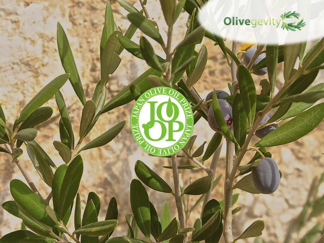 best organic olive oils