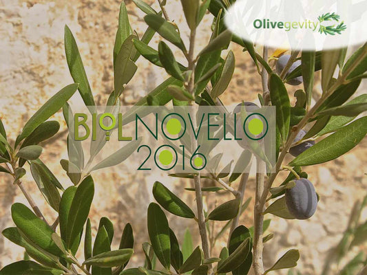 BIOLNOVELLO 2016 2017