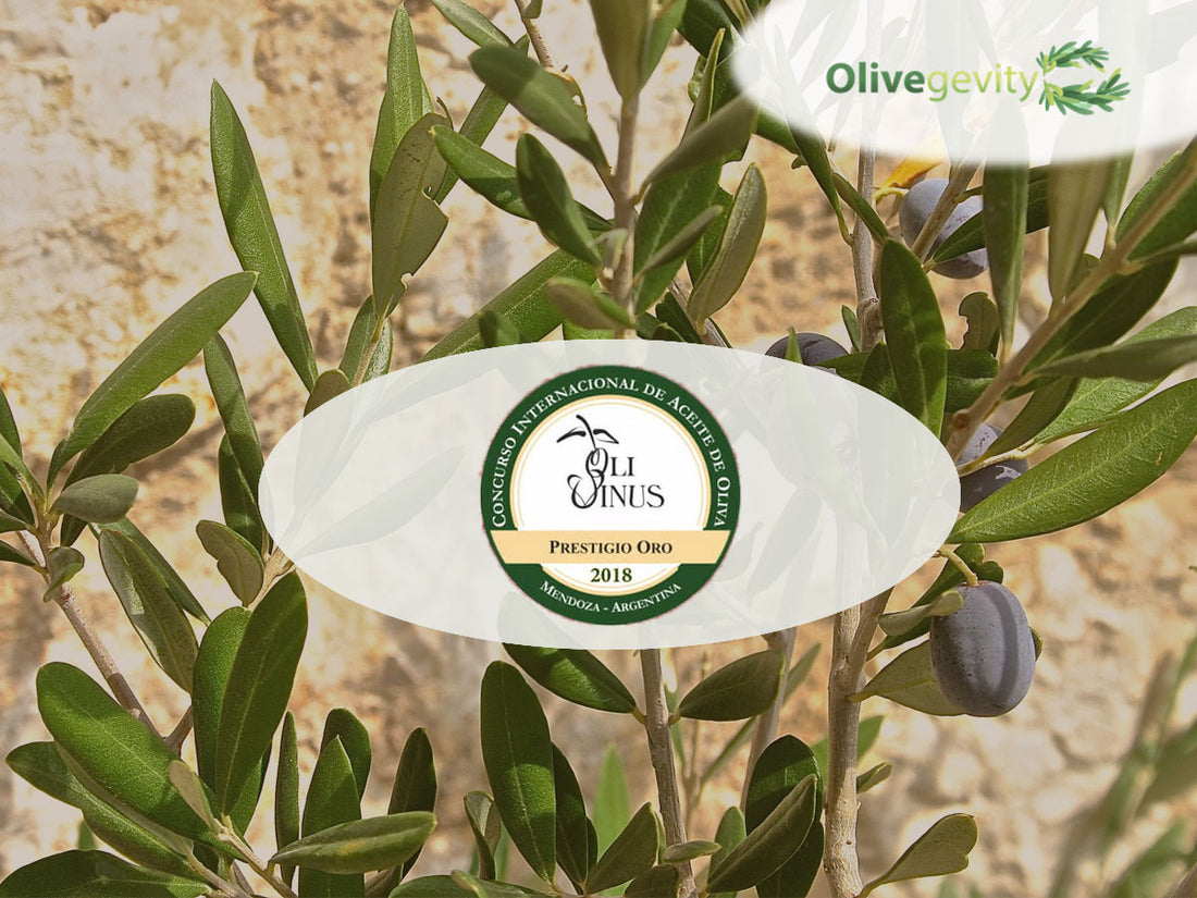 Majestic-Flavored-Blend-EVOO-Prestige-Gold-Award---Olivinus-International-Competition-2018