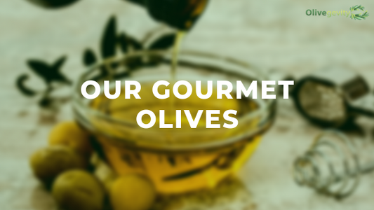 Our Gourmet Olives