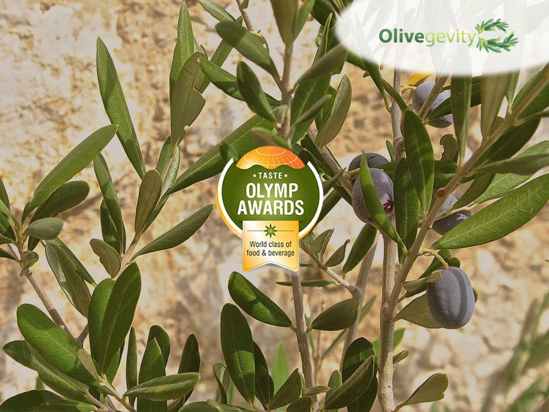 Taste-Olymp-Awards-2017