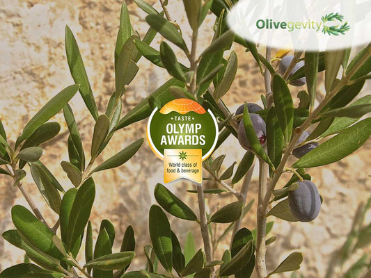 Taste-Olymp-Awards-2017