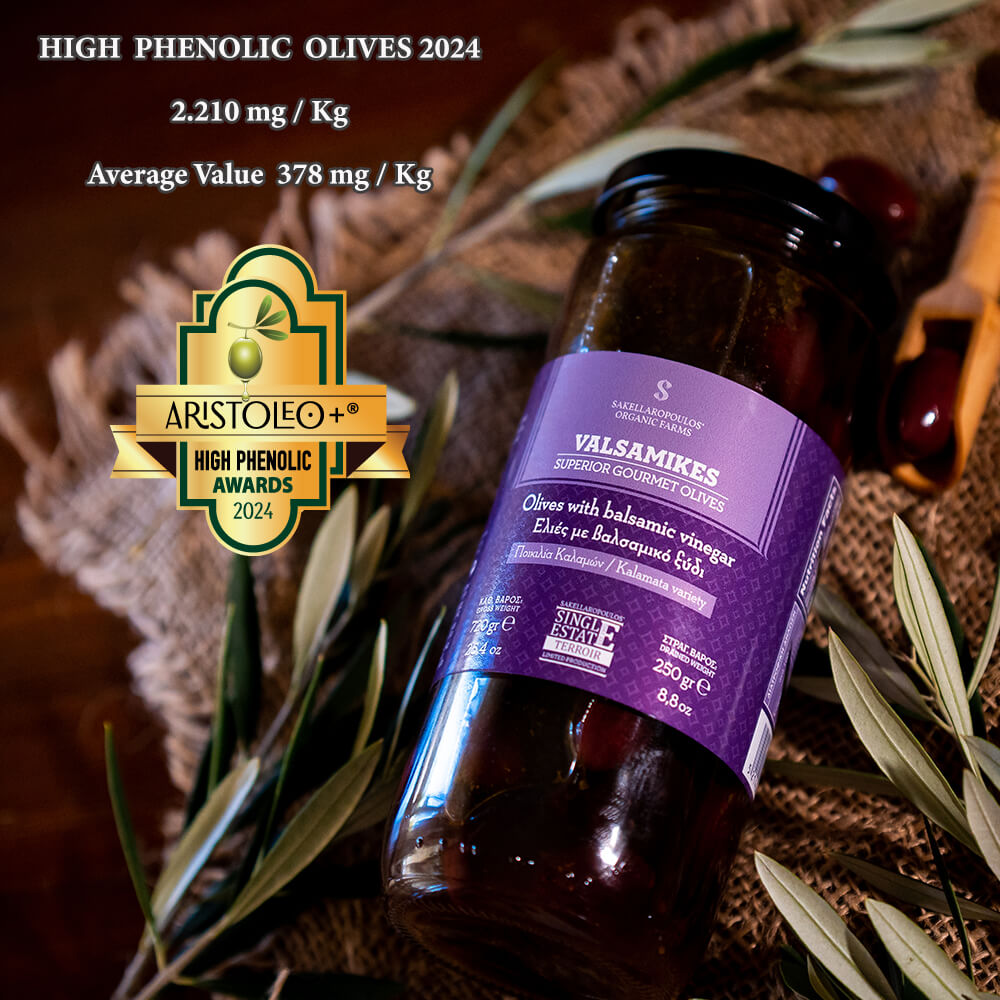 Valsamikes Gourmet Olives with Balsamic Vinegar