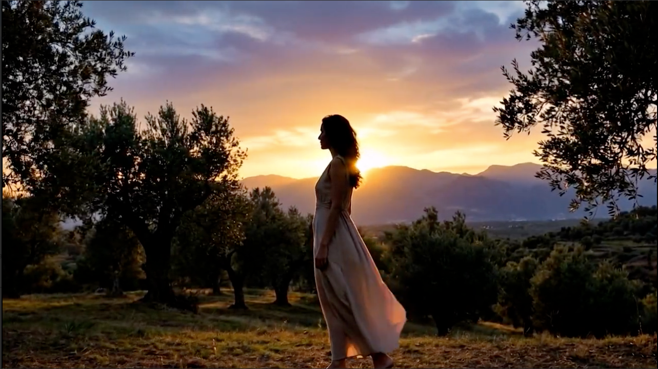 Load video: Video of Olivegevity