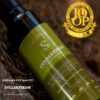 SYLLEKTIKON - Premium Gourmet Flavored Unripe Extra Virgin Olive Oil - Image 3