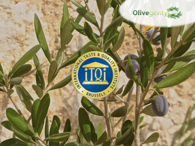 flavored olives