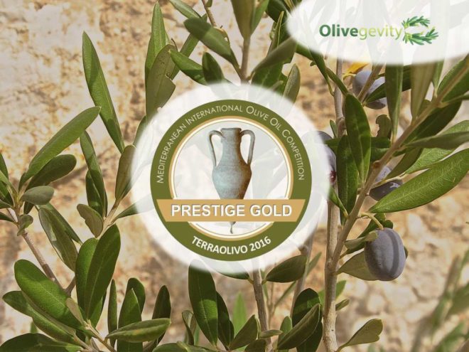 Mediterranean International olive oil